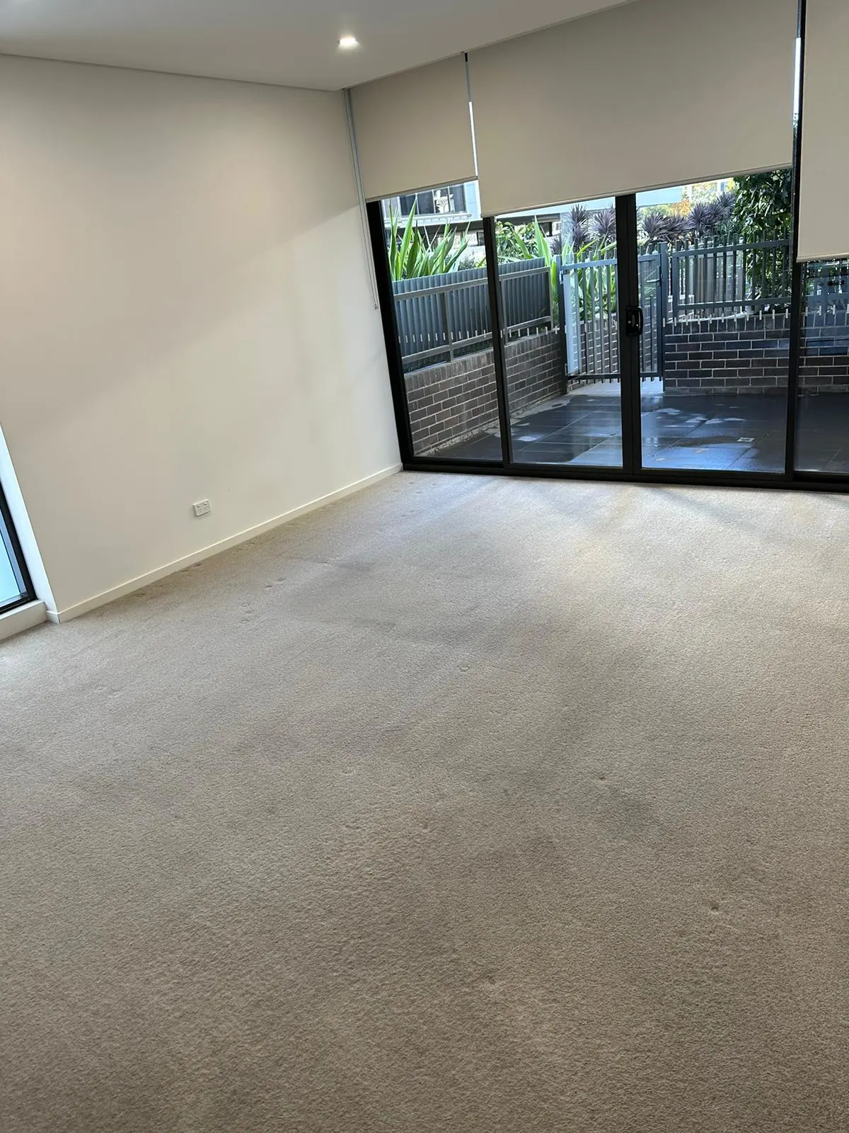 Carpet Steam Cleaning Sydney